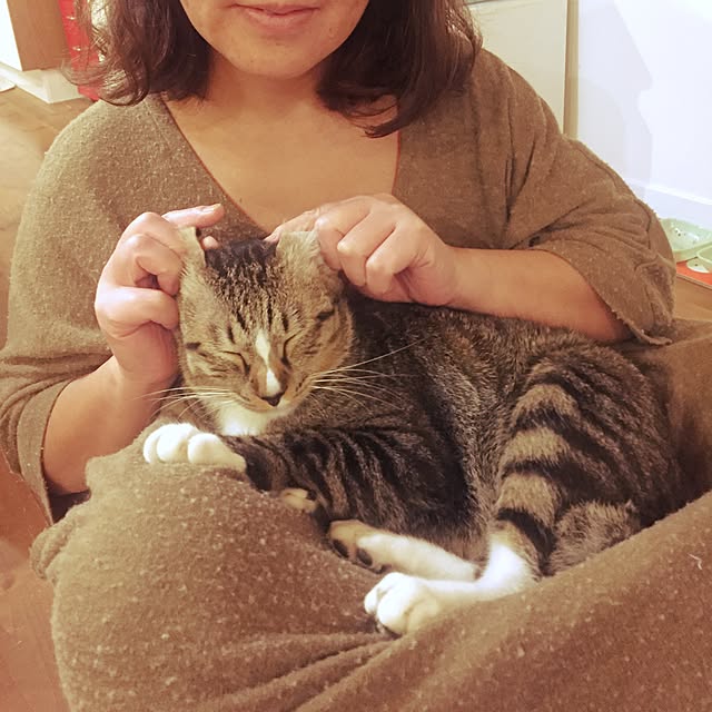 tsukiyuzuさんの実例写真