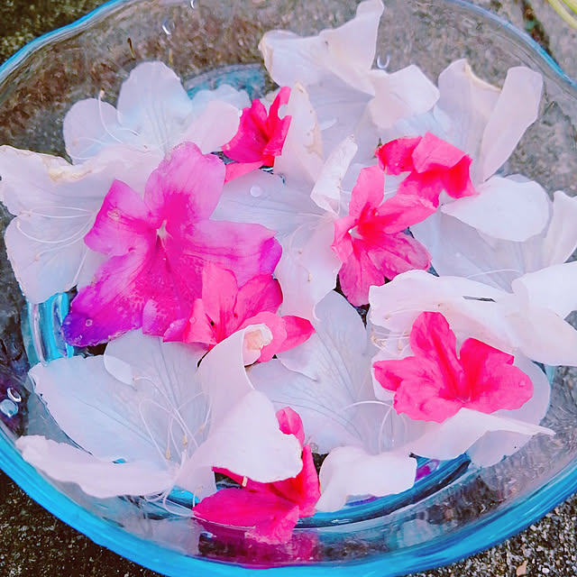 Manaさんの実例写真