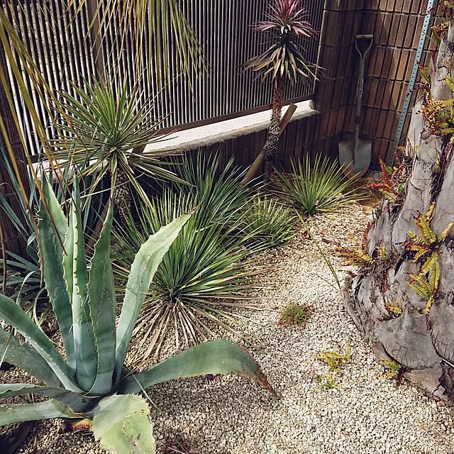 ot-gardenさんの部屋