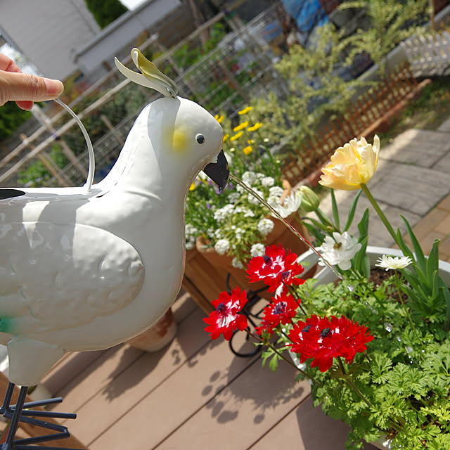 Shooowkoさんの実例写真