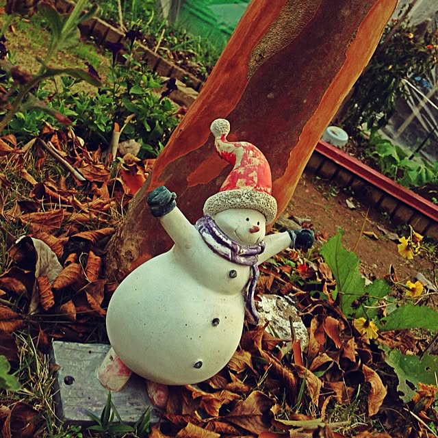 dogyannaさんの実例写真