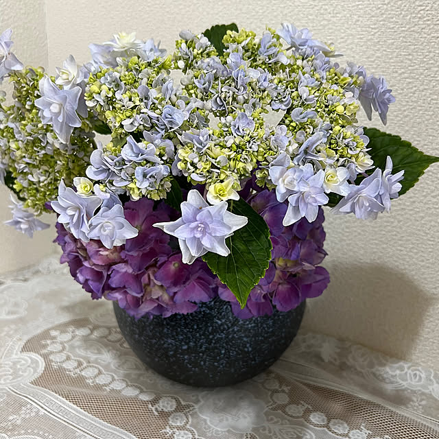 nannoさんの実例写真