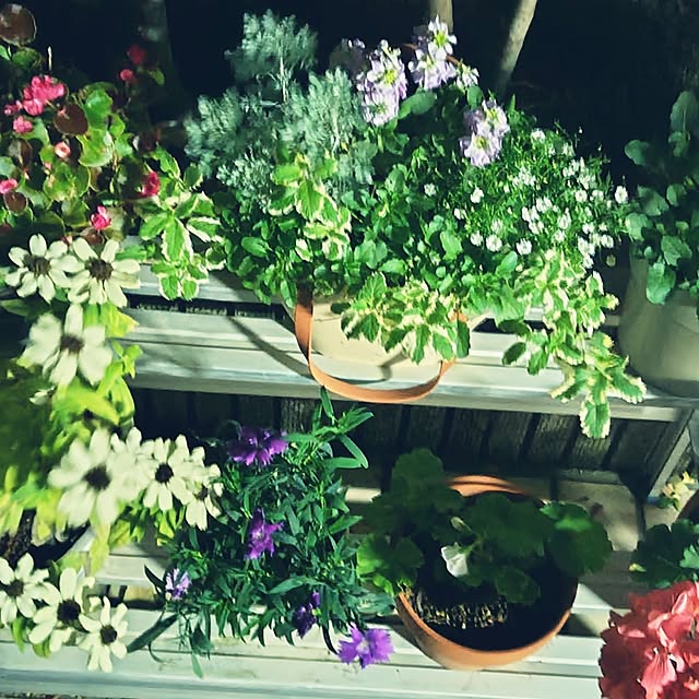 katさんの部屋