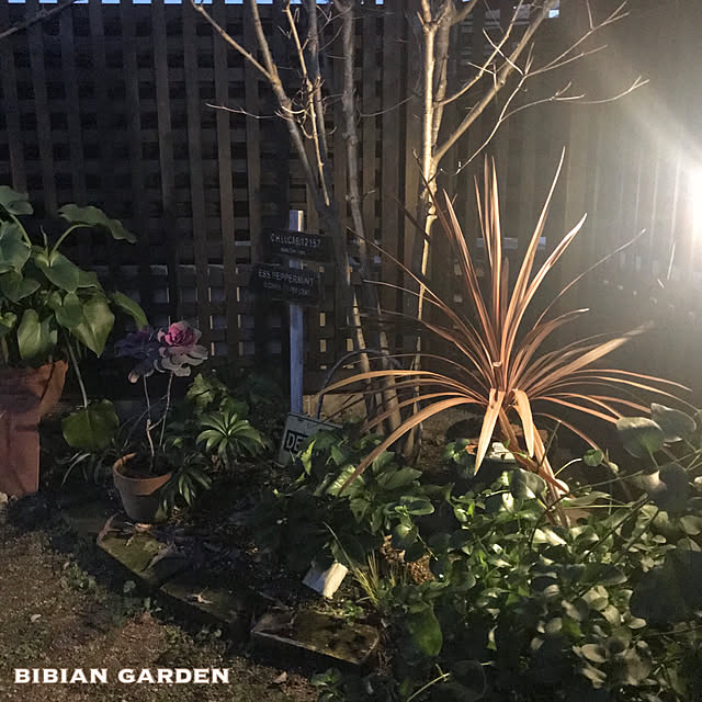 bibianさんの実例写真