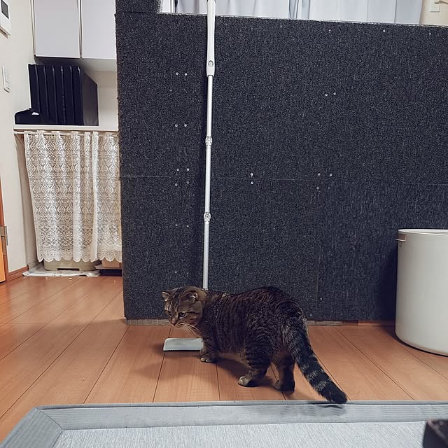 noguriさんの部屋