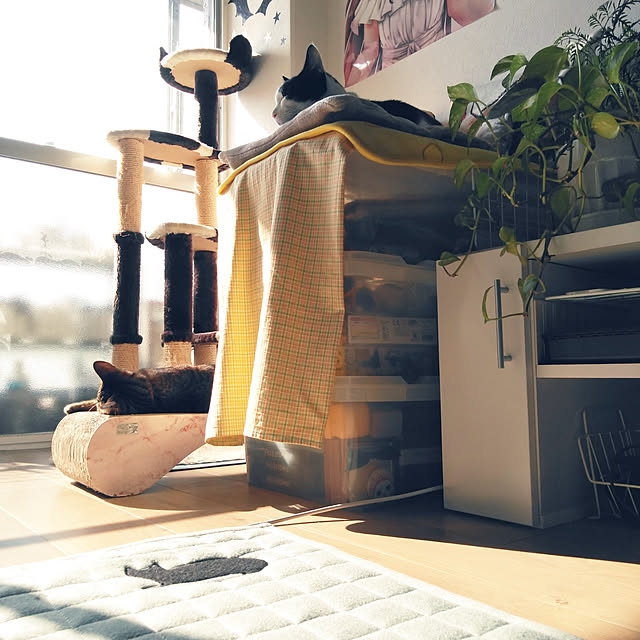 futukoのペティオ (Petio)-キャットタワー 猫タワー 据え置き型 ケージ ゲージ おしゃれ アドメイト Add.Mate 猫のおあそびポール お魚ファミリー ハイタイプ 室内の家具・インテリア写真