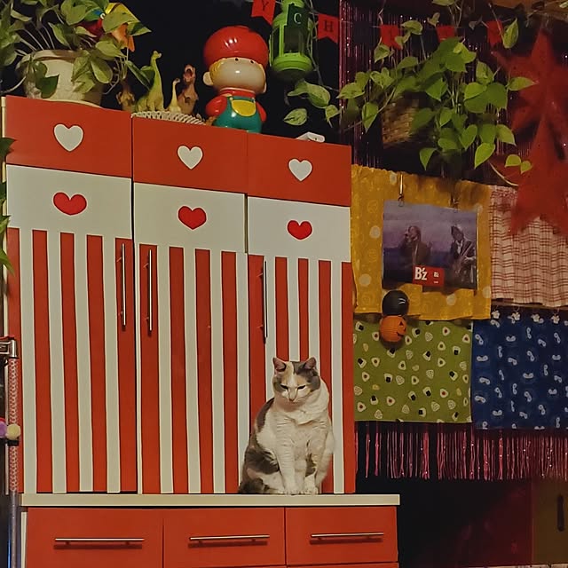kumutanさんの実例写真
