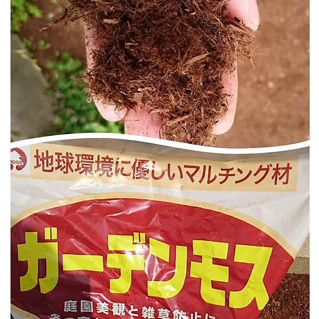 r.k.m.n_n.3.4.5さんの実例写真