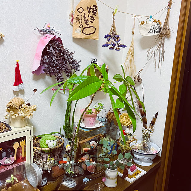 takakoさんの実例写真