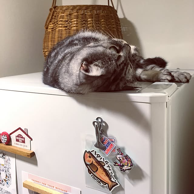 mikomaruさんの実例写真