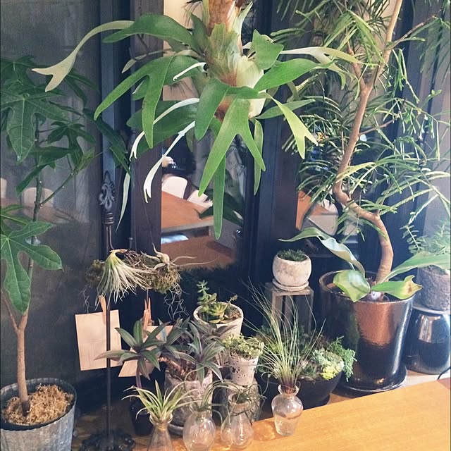 123yukotさんの実例写真