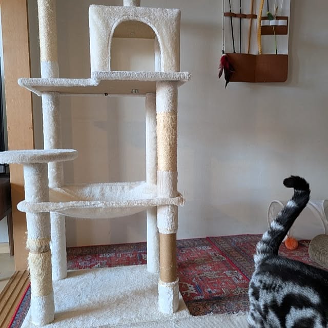 lovepeaceさんの部屋