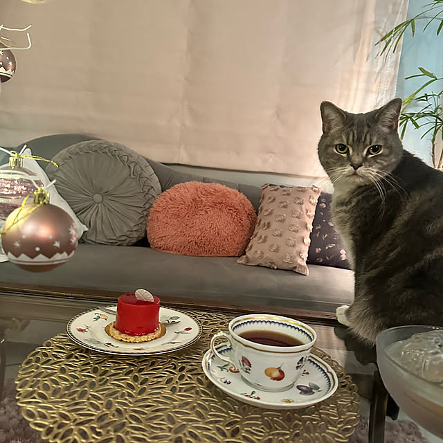 yori_miniさんの部屋