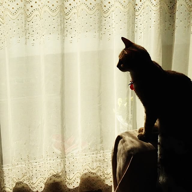 1633さんの実例写真