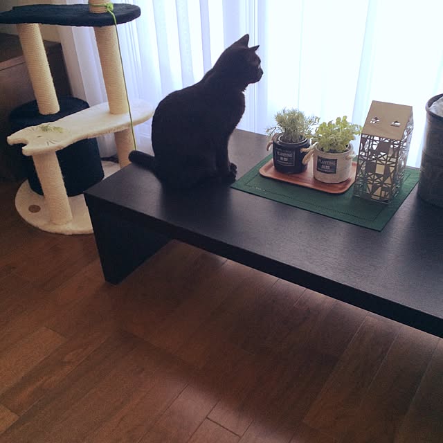 Kitakoさんの実例写真