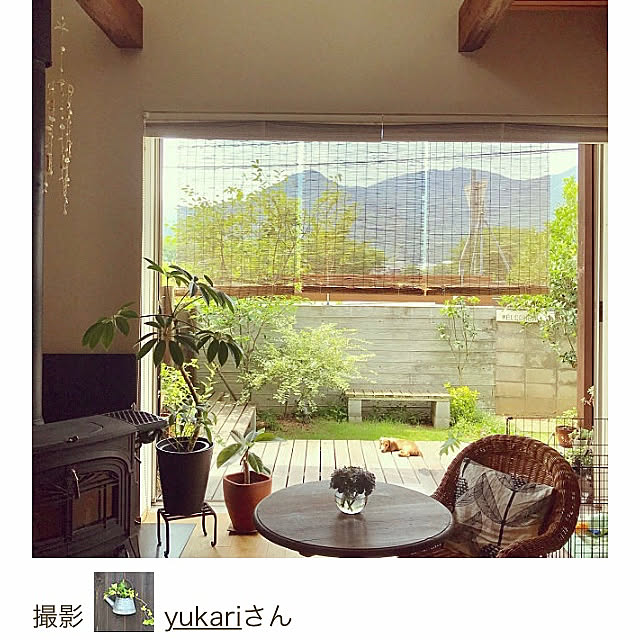 yukariさんの実例写真