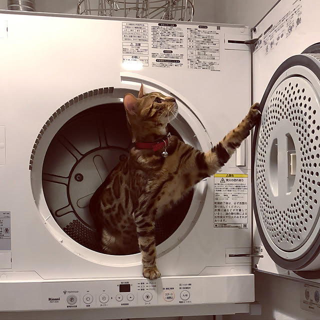 iranさんの実例写真