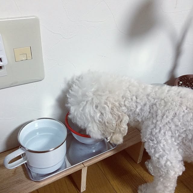 mocoyuki113さんの実例写真