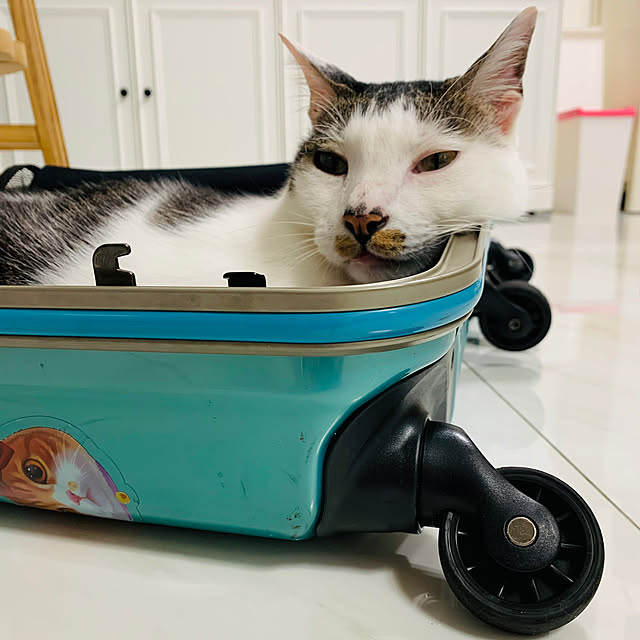 pcu110さんの実例写真