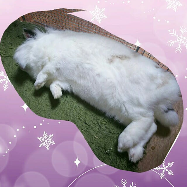 WASABIさんの実例写真