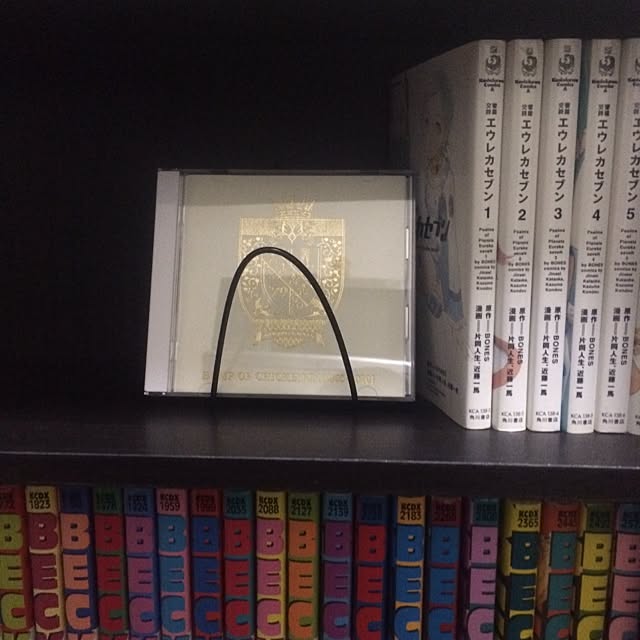 akiさんの実例写真