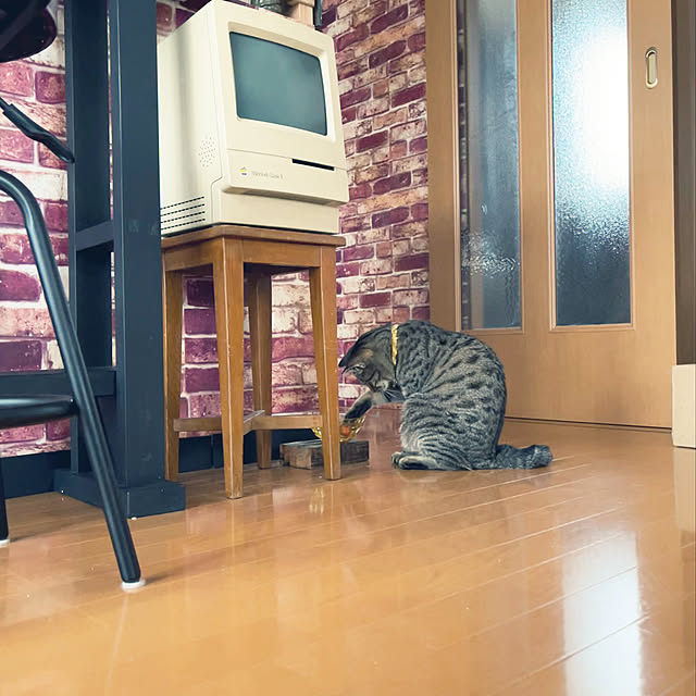 Mさんの実例写真