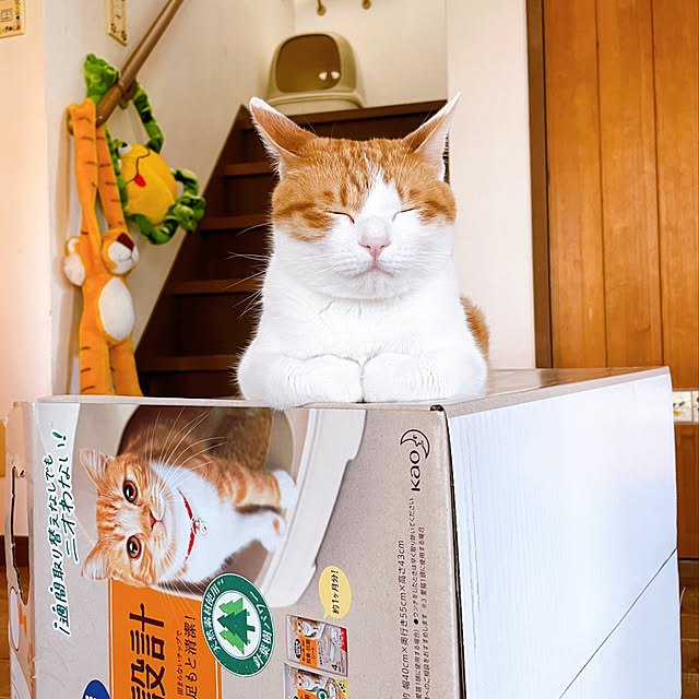 meさんの実例写真