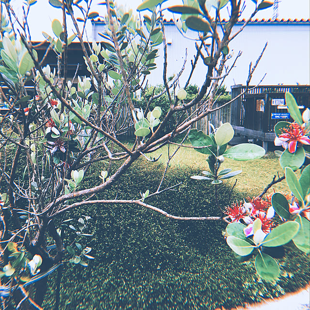 NAOMIさんの実例写真