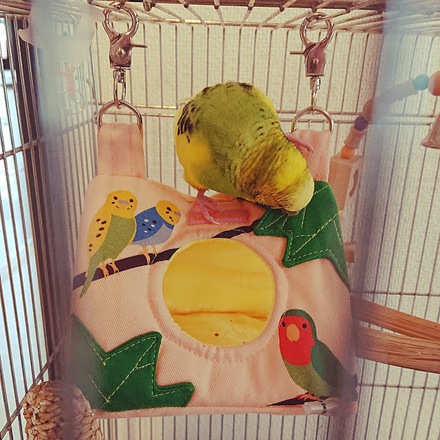kyonさんの実例写真