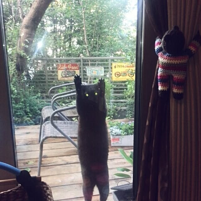 ayuさんの実例写真