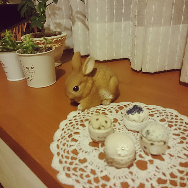 Natuyuさんの実例写真