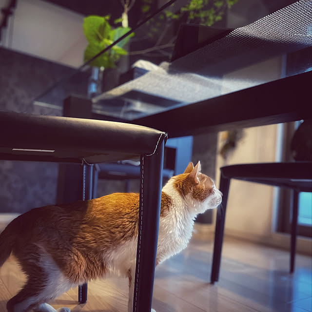 miruさんの実例写真