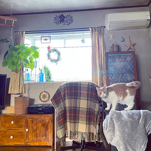 mintteaさんの実例写真