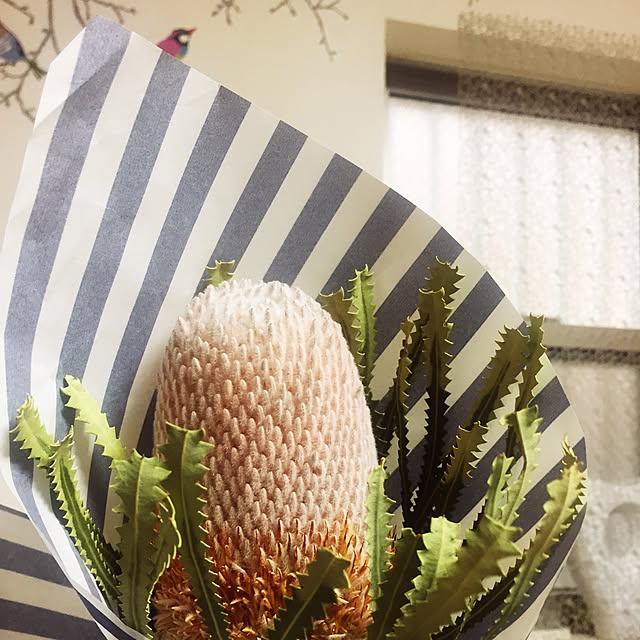 adgjmptwさんの実例写真