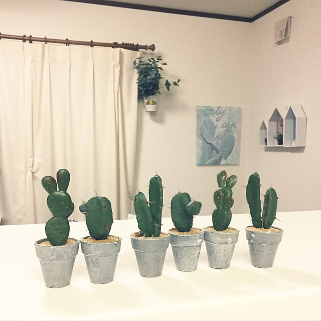 yukkin29さんの実例写真