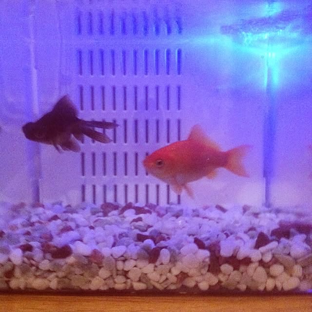 Keiさんの実例写真