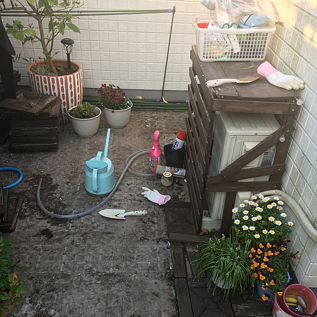 sasaさんの実例写真