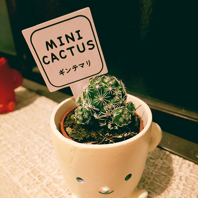 akimiさんの実例写真