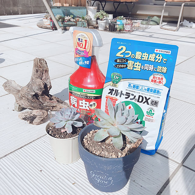 craneさんの実例写真