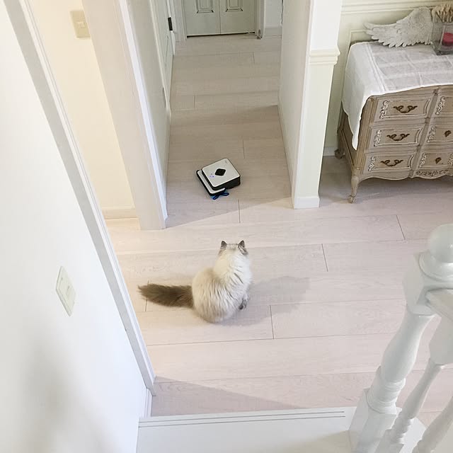 yuchiさんの実例写真