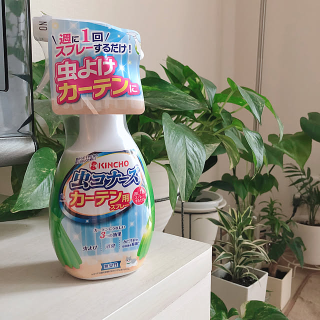 RanRanさんの実例写真