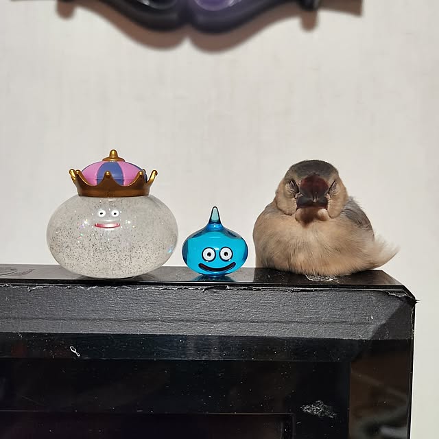 Mariさんの部屋