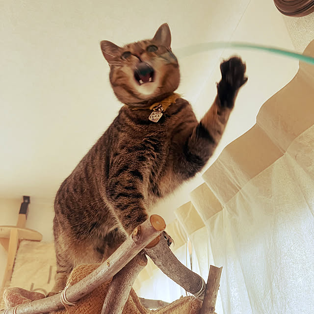 Mさんの実例写真