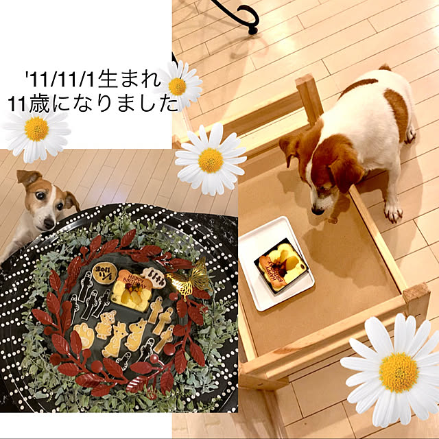 kittyさんの実例写真