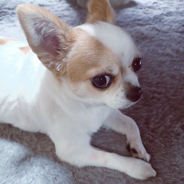 hiro.904さんの部屋