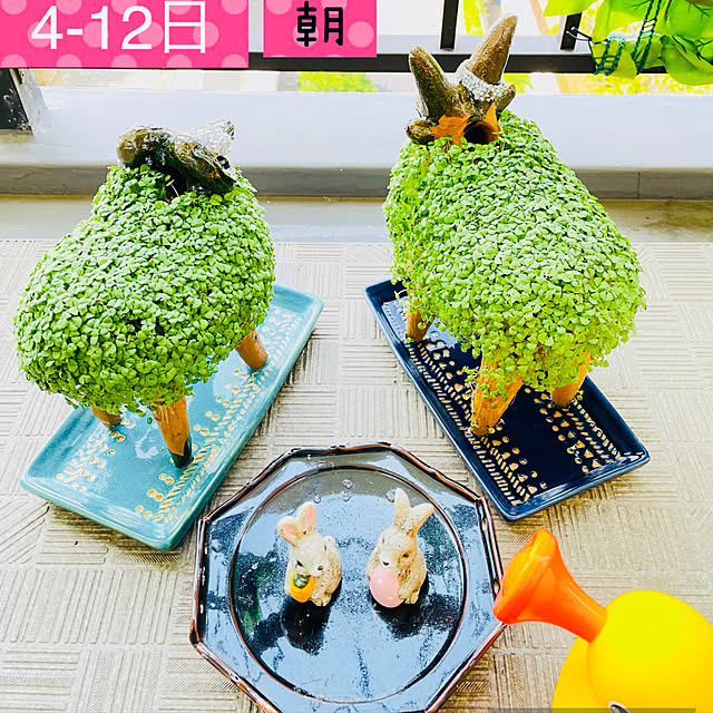 aureaさんの実例写真