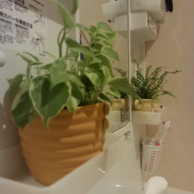 Kimikoさんの実例写真