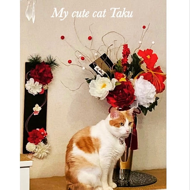 yoko1813さんの実例写真