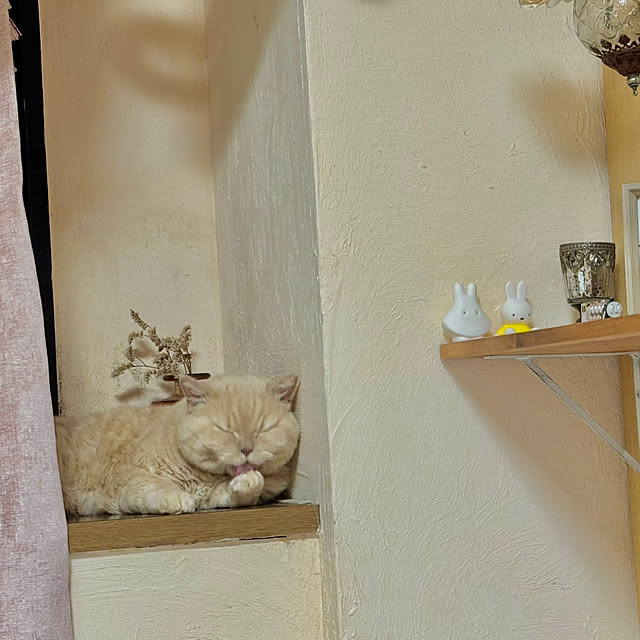 naokoさんの部屋