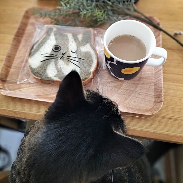 hihaさんの部屋